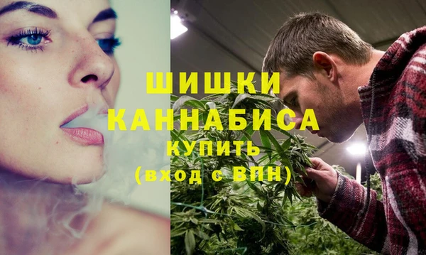 прущая мука Бородино