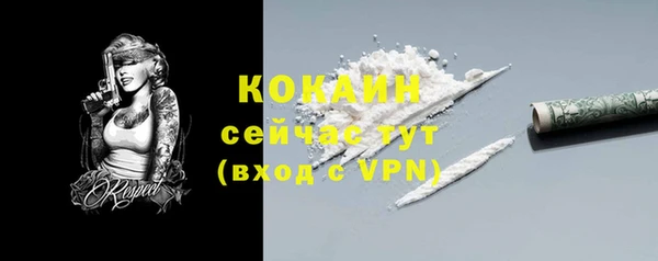 прущая мука Бородино