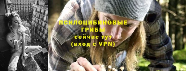 ешки Бугульма