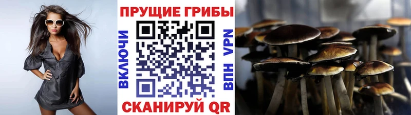 Галлюциногенные грибы ЛСД  Купить  Ряжск 